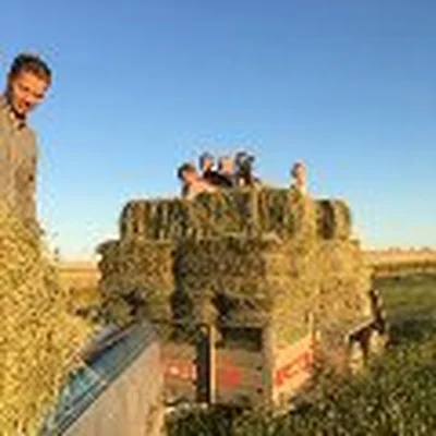 Pearson Electrical Constructors